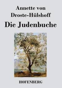 bokomslag Die Judenbuche