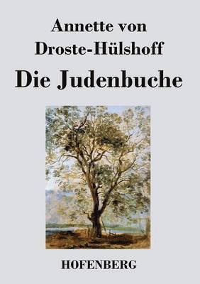 Annette Von Droste-Hülshoff, Annette von Droste-Hülshoff - Judenbuche, Häftad