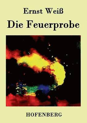 Ernst Weiß, Ernst Weiß - Feuerprobe, Häftad