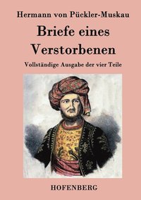 bokomslag Briefe eines Verstorbenen