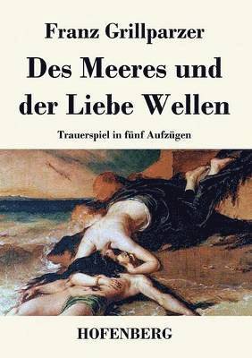 bokomslag Des Meeres und der Liebe Wellen