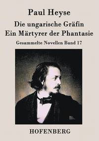 bokomslag Die ungarische Grfin / Ein Mrtyrer der Phantasie