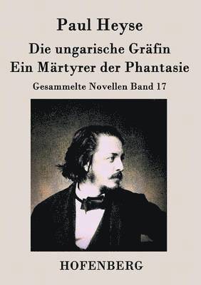 bokomslag Die ungarische Grfin / Ein Mrtyrer der Phantasie