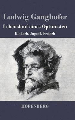 bokomslag Lebenslauf eines Optimisten