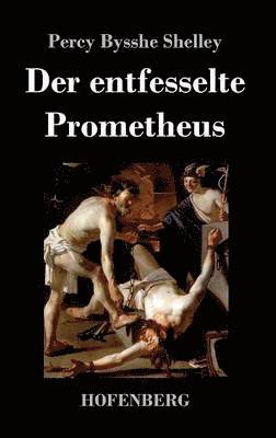 bokomslag Der entfesselte Prometheus