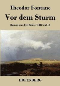 bokomslag Vor dem Sturm