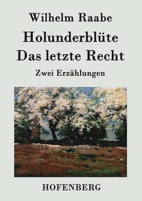 Wilhelm Raabe - Holunderblüte / Das letzte Recht, Häftad