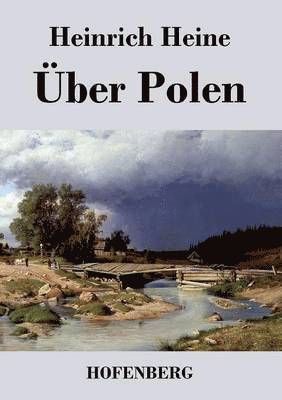 Heinrich Heine - Über Polen, Häftad