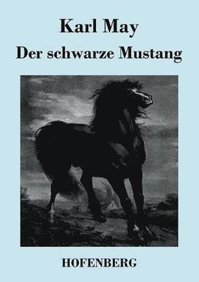 bokomslag schwarze Mustang