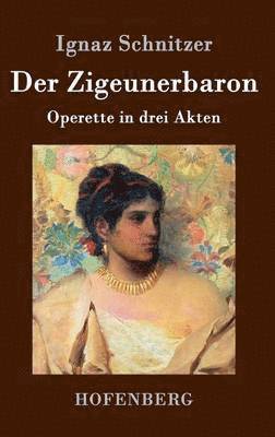 bokomslag Der Zigeunerbaron