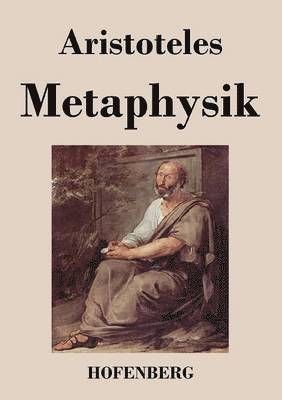 bokomslag Metaphysik