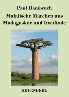 bokomslag Malaiische Mrchen aus Madagaskar und Insulinde