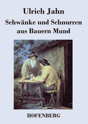 bokomslag Schwnke und Schnurren aus Bauern Mund