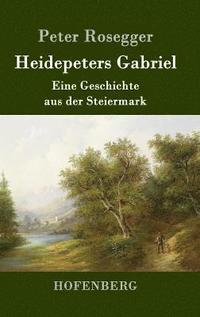 bokomslag Heidepeters Gabriel