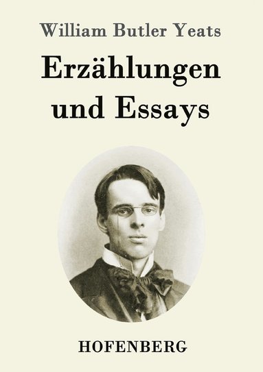 bokomslag Erzhlungen und Essays