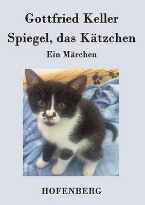 bokomslag Spiegel, das Ktzchen