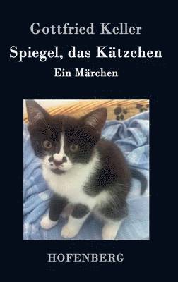 bokomslag Spiegel, das Ktzchen