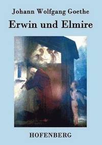 bokomslag Erwin und Elmire