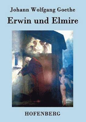 bokomslag Erwin und Elmire