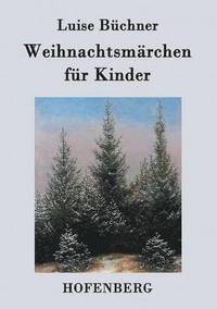 bokomslag Weihnachtsmrchen fr Kinder