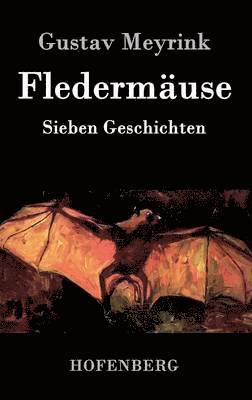 Fledermuse 1