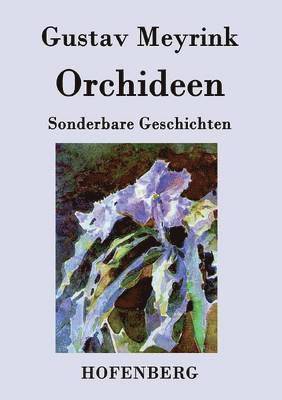 Orchideen 1