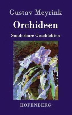 Orchideen 1