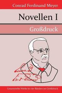 bokomslag Novellen I (Grodruck)