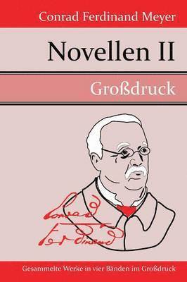bokomslag Novellen II (Großdruck)