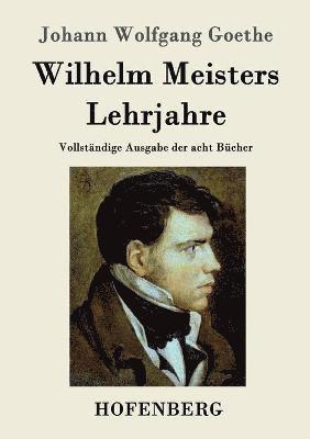 Johann Wolfgang Goethe - Wilhelm Meisters Lehrjahre, Häftad