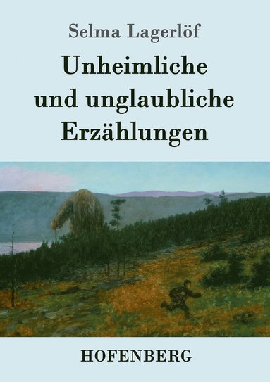 bokomslag Unheimliche und unglaubliche Erzhlungen