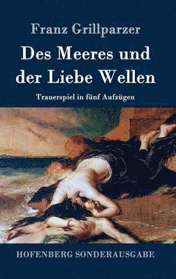 bokomslag Des Meeres und der Liebe Wellen