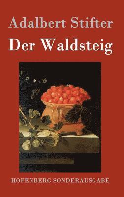 Der Waldsteig 1