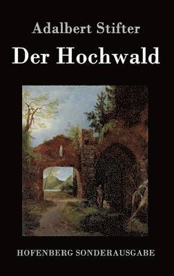 bokomslag Hochwald