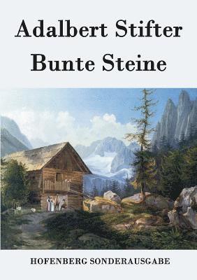 bokomslag Bunte Steine