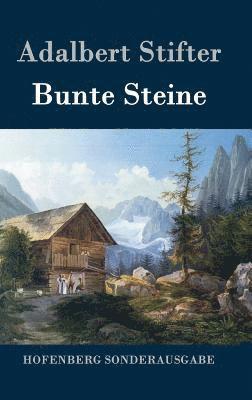 bokomslag Bunte Steine