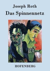 bokomslag Spinnennetz