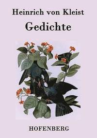 bokomslag Gedichte / Gelegenheitsverse und Albumblätter