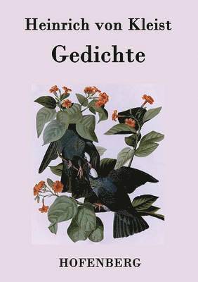 bokomslag Gedichte / Gelegenheitsverse und Albumblätter