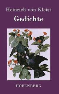 bokomslag Gedichte / Gelegenheitsverse und Albumblätter