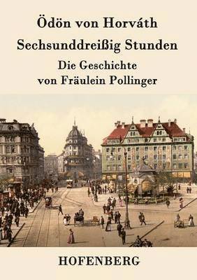 bokomslag Sechsunddreißig Stunden