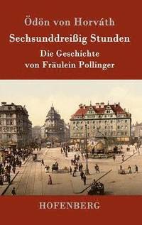 bokomslag Sechsunddreißig Stunden