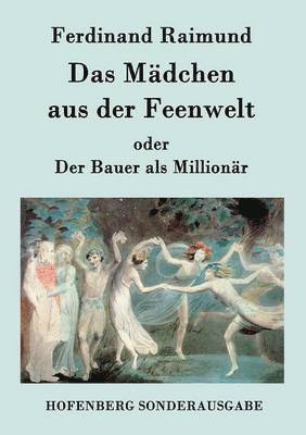 bokomslag Mädchen aus der Feenwelt oder Der Bauer als Millionär