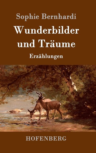 bokomslag Wunderbilder und Träume