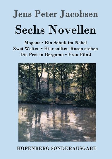 bokomslag Sechs Novellen