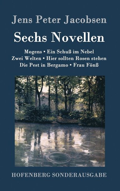 bokomslag Sechs Novellen