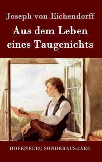 bokomslag Aus dem Leben eines Taugenichts