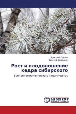 Rost i plodonoshenie kedra sibirskogo 1