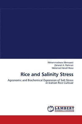 Rice and Salinity Stress 1