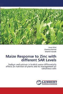 bokomslag Maize Response to Zinc with different SAR Levels